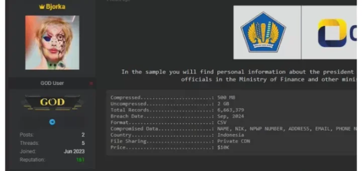 Seluk-beluk Peretas Terkenal Bjorka Jual 6 Juta Data NPWP WNI